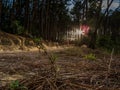 Leaves and Mountain bike Riders Royalty Free Stock Photo