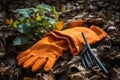 Seasonal tool autumn leaves fall cleaning Royalty Free Stock Photo