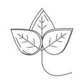 Leaves organic ecology nature line icon style