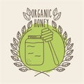 Leaves organic icon