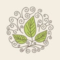 Leaves organic icon