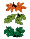 Leaves in pair - colored