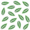 Leaves of a palm tree, seamless pattern. Watercolor illustration.