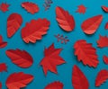 Leaves of paper autumn red leaf fall. Royalty Free Stock Photo