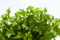 Leaves of parsley