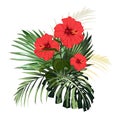 Botanical illustration, beautiful tropical flowers bouquet, red hibiscus flowers, palm leaves, exotic plants Royalty Free Stock Photo