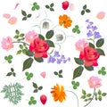 Leaves, petals and bouquet of gardening flowers. Design elements.