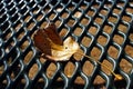 Leaves on picnic table in Jess Martin Park, Julian, California