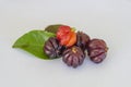 Leaves and Pitanga Cherries Royalty Free Stock Photo