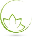 Leaves, plant and circle, nature and wellness logo