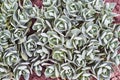 The leaves of the plants of the genus Sedum pachyclados