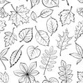 Leaves of Plants Pictogram, Seamless Royalty Free Stock Photo