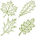 Leaves of plants, pictogram, set Royalty Free Stock Photo