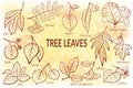 Leaves of Plants Pictogram Set