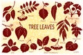 Leaves of Plants Pictogram Set