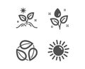 Leaves, Plants watering and Grow plant icons. Sun sign. Nature leaf, Water drop, Leaves. Summer. Vector Royalty Free Stock Photo