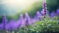 leaves purple flowers isolated