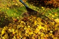 Leaves rake