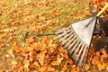 Leaves rake and wagon Royalty Free Stock Photo