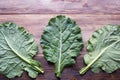 Leaves of rastan Collard greens, collards on rustic table. Copy space