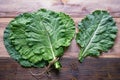 Leaves of rastan Collard greens, collards on rustic table. Free space for text