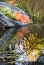 Leaves Reflections Fall Colors Van Dusen Gardens Royalty Free Stock Photo