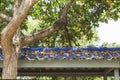 The leaves on the roof