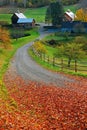 Leaves on a Rural lane