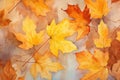 Leaves seasons orange yellow background autumn