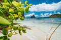 Leaves and secluded beach with view to Pinagbuyutan island. El Nido, Palawan, Philippines Royalty Free Stock Photo
