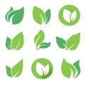 Green leaves logo set for eco natural products Royalty Free Stock Photo