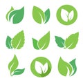 Green leaves logo set for eco organic bio natural products, pharmacy, medicine Royalty Free Stock Photo