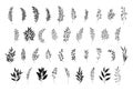 Leaves set, hand drawn branches silhouettes, vector Royalty Free Stock Photo