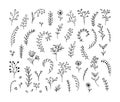 Leaves set of hand drawn doodles Royalty Free Stock Photo