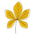 ÃÂ¡hestnut leaf on white background. Isolated hand drawn illustration, doodles style Royalty Free Stock Photo