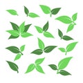 Set of green leaf icons. Leaves on white background Royalty Free Stock Photo