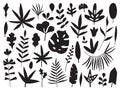 Black Leaves silhouettes vector set