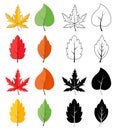 Leaves silhouette, outline and color icon set isolated on white. Variety of autumn falling, leaf shape. Collection of vector