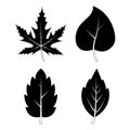 Leaves silhouettes autumn symbols collection. Black and white autumnal falling leaf shape set isolated on white. Black vector of Royalty Free Stock Photo