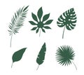 Leaves silhouettes tropical. Green jungle exotic leaf palm, monstera and banana. Botanical decor, summer nature design