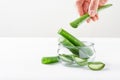 Leaves and slices of aloe vera plant over white background with copy space. Natural ingredient for herbal beauty product,