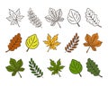 Set of colorful autumn and summer leaves with a dark outline.