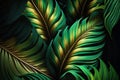 Leaves of spathiphyllum cannifolium abstract green tea, creative digital illustration