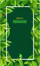 Spring jungles backgrounds s