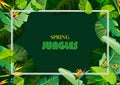 Spring jungles backgrounds s