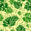 Leaves spring pattern01-01 Royalty Free Stock Photo