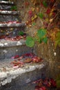 Leaves on Stairway Royalty Free Stock Photo