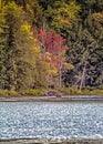 Leaves Starting To Change Color As Autumn Approaches In Canada Royalty Free Stock Photo