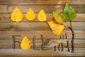 Leaves and sticks arranged in a word Fall