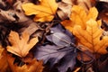 Leaves surrender hues, autumnal vision loss whispers in falling beauty